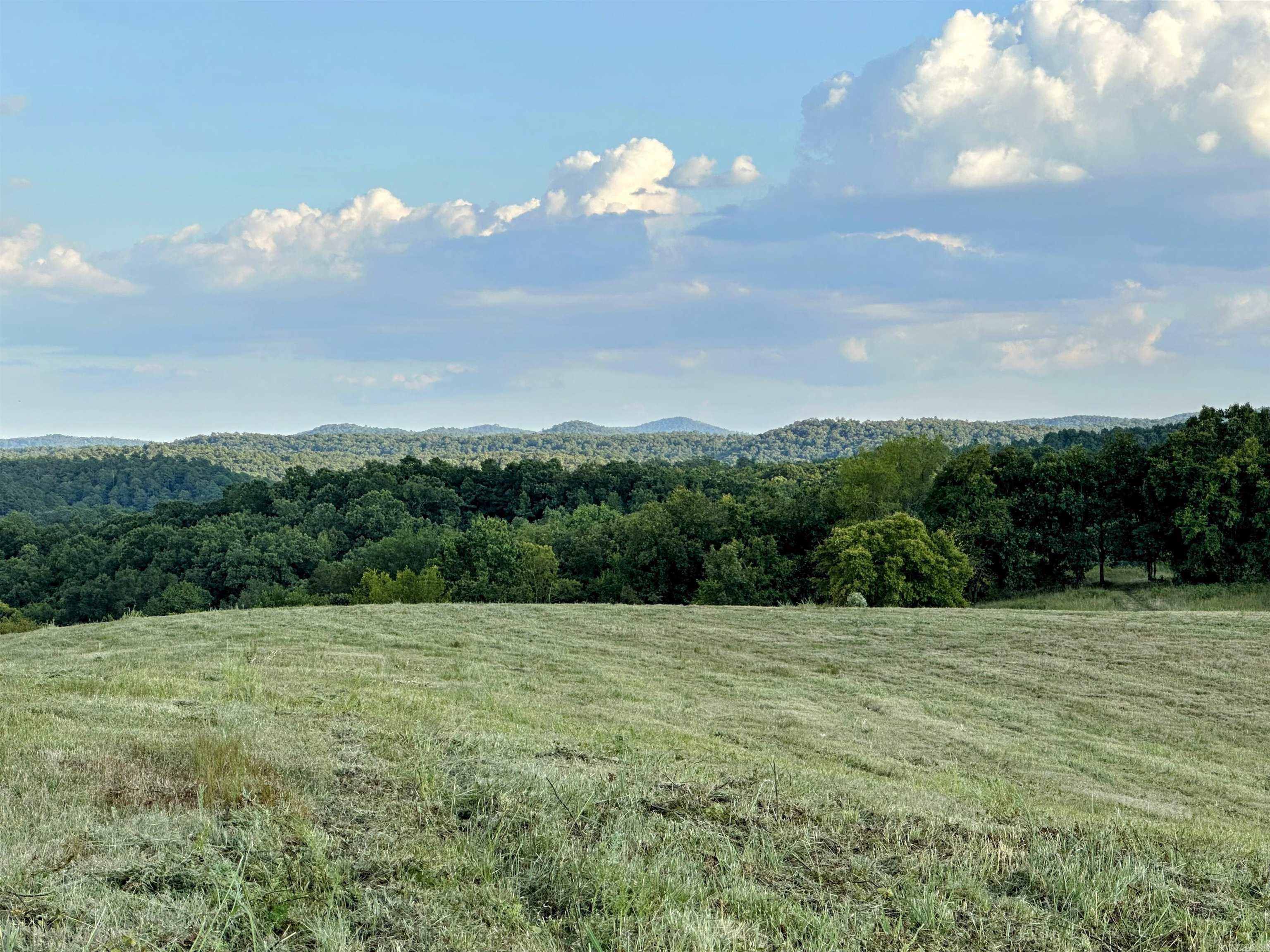 Approximately 12 acres with stunning 360-degree mountain views! This vacant land sits in the beautiful rolling hills of Board Camp. So many opportunities for recreational adventures on this land - this property has it all! Several nice building sites, no restrictions, also has a wet weather creek!