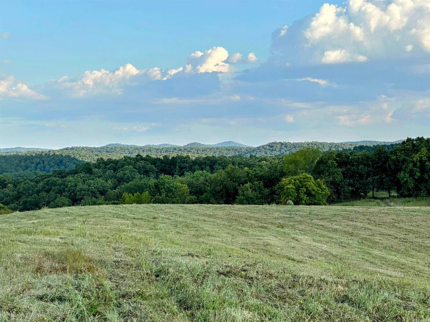 Approximately 12 acres with stunning 360-degree mountain views! This vacant land sits in the beautiful rolling hills of Board Camp. So many opportunities for recreational adventures on this land - this property has it all! Several nice building sites, no restrictions, also has a wet weather creek!