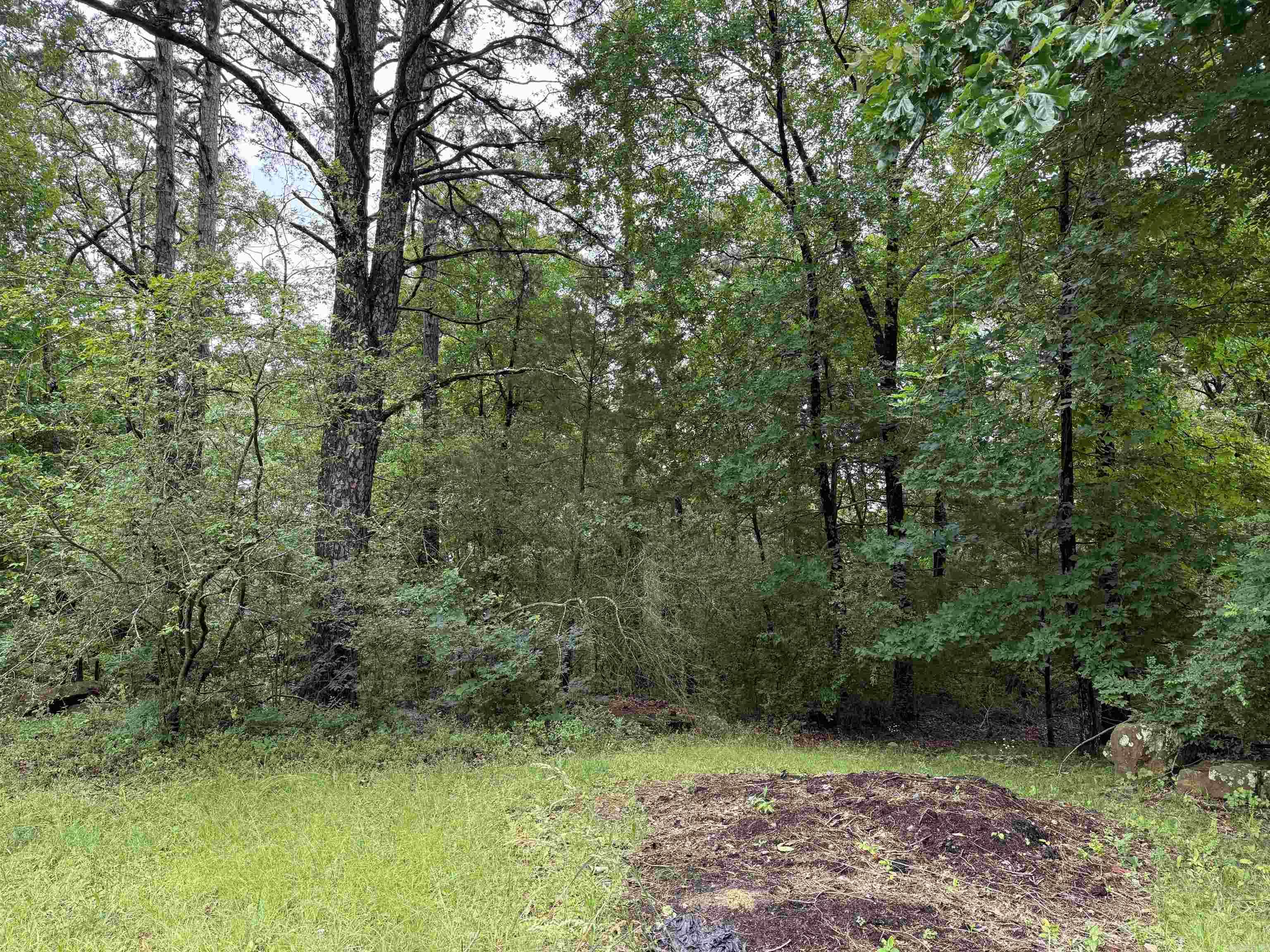 Heber Springs - Land