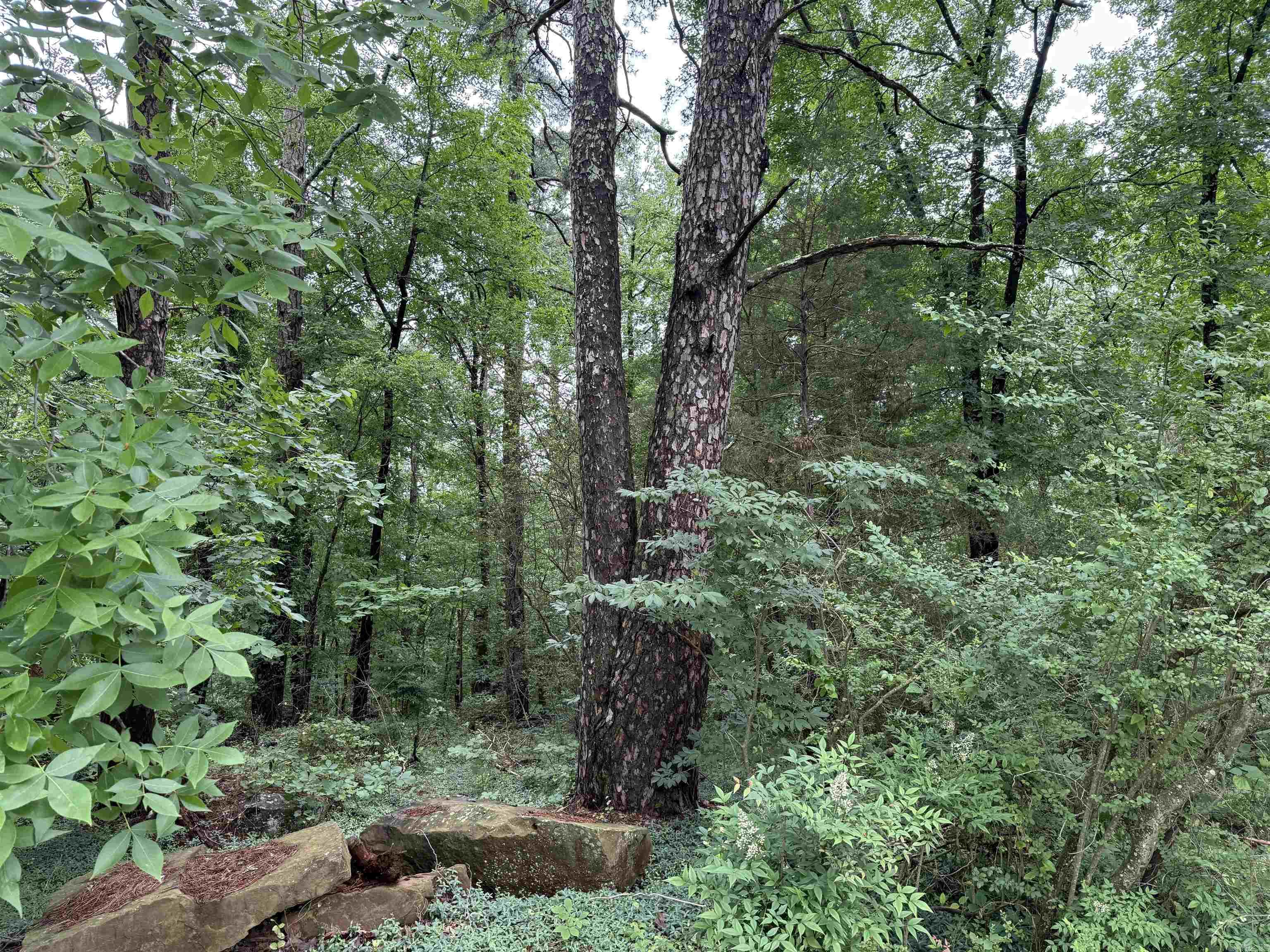 Heber Springs - Land