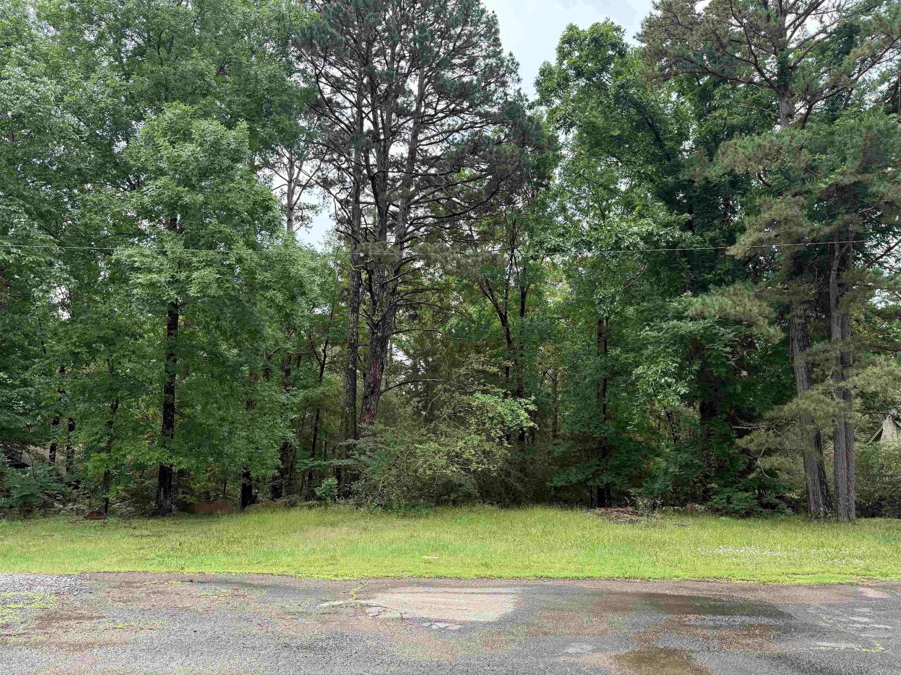 Two beautiful wooded lots located in the heart of Heber Springs! This private and peaceful property offers a rare opportunity to build your dream home in a quiet, established area. Surrounded by mature trees, the lot provides a natural, secluded setting while still being conveniently close to shopping, dining, schools, and Greers Ferry Lake. Sewer is already available on-site, saving time and expense during the building process.