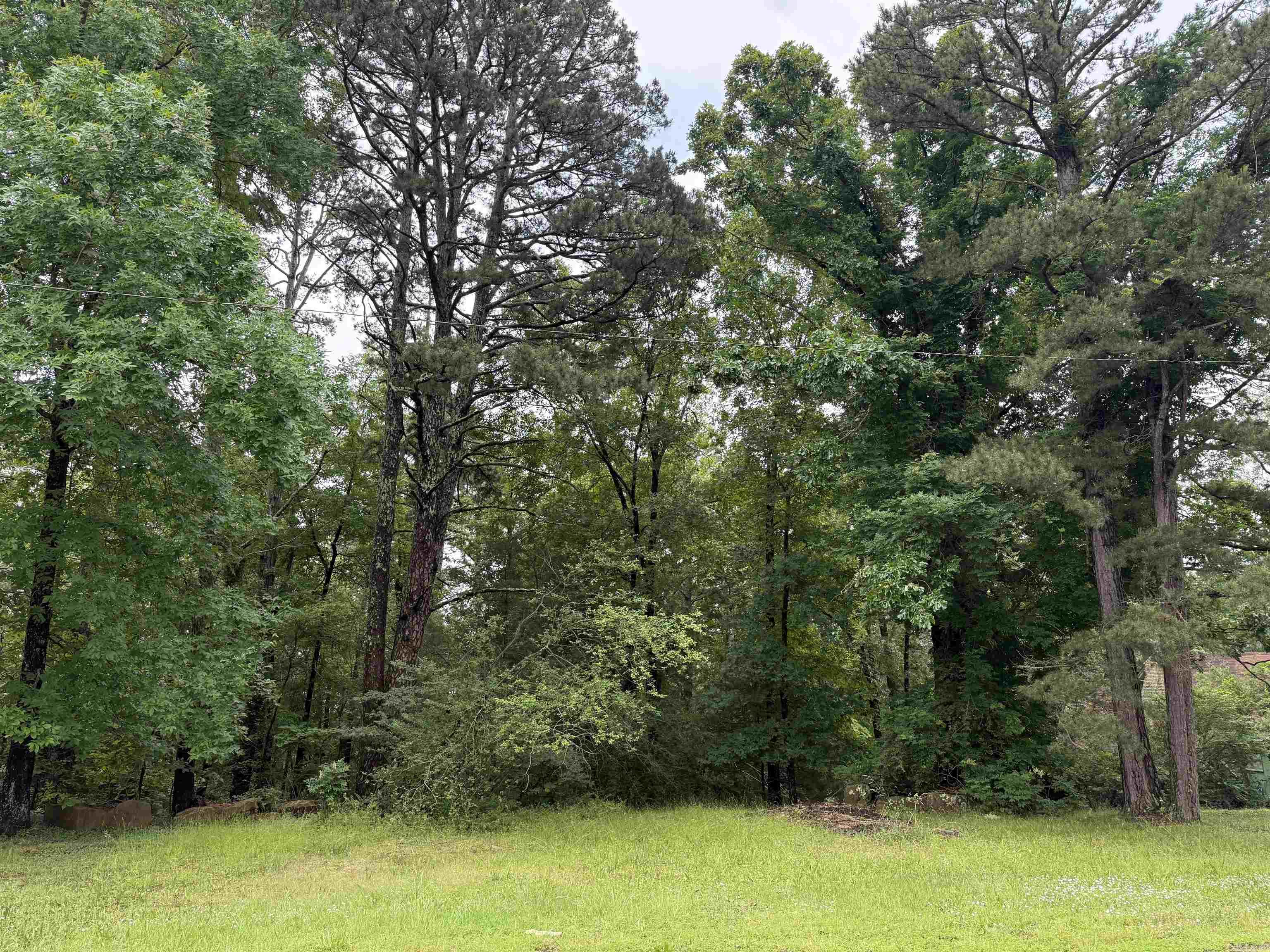 Heber Springs - Land