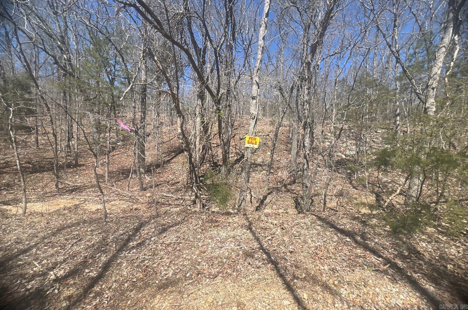Owner Financing Available- What a place you can call home, a place you can pass down to your kids? Build your home just the way you have always dreamed of! This 0.30-acre lot offers privacy since it sits on the very outer corner of Horseshoe Bend and is on a dirt road. You will find yourself surrounded by very few neighbors and away from all the noise that living in town brings. Yet, it is still close enough for all your everyday needs. Need a day out of the house? Take your pick from Pioneer Lake, Crown Lake, and Diamond Lake; you and your loved ones can get away to go for a swim, canoe, tube, and much more. You can also walk through the woods to the Strawberry River, which is just behind this lot! Spend the summers at one of the few lakes around town, Pioneer Lake, Diamond Lake, and Crown Lake. Getaway to spend the day with your family, take a swim, canoe, kayak, fishing, and so much more. This property is on the edge of Horseshoe Bend, making viewing the stars and moon at night a breeze. Take a drive into Mountain Home, AR (1 hour) or Memphis, TN (3hours). You can fill your days with endless hours of memories.