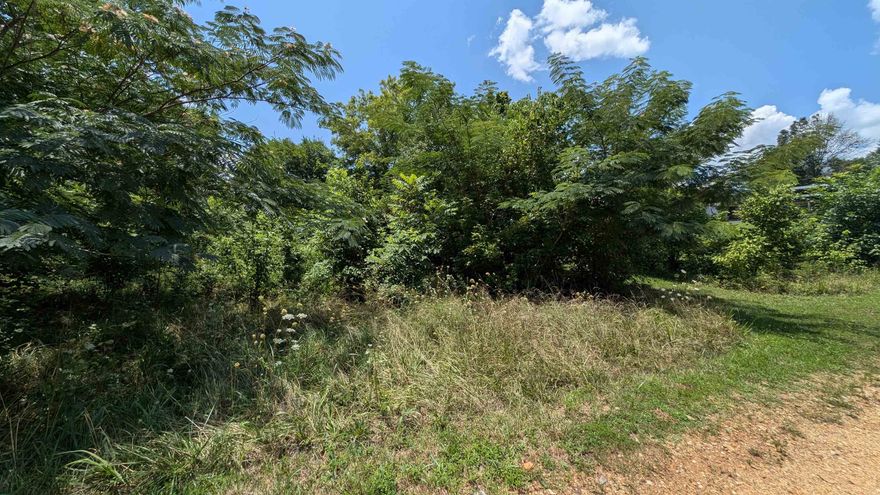 Welcome to Riverbend Park! This gated community has 700 camper lots that provide several amenities to their owners. That's right, OWNERS, no renting here. Enjoy the perks of 2 swimming pools, picnic, park, and playground area, and well as a beach area.  Your lots include one concrete pad, perfect for an RV, and are located across the street from the pool for easy access. The river is also just a short drive or hike away. NOTE: Blue boys (or Honey Wagons) are NOT allowed.  Annual maintenance fee of $825 covers most utilities and up keep. For a full list of what the maintenance fee covers and other rules and regulations follow this link to the Riverbend Park website: https://riverbendparkhardyar.com/faq