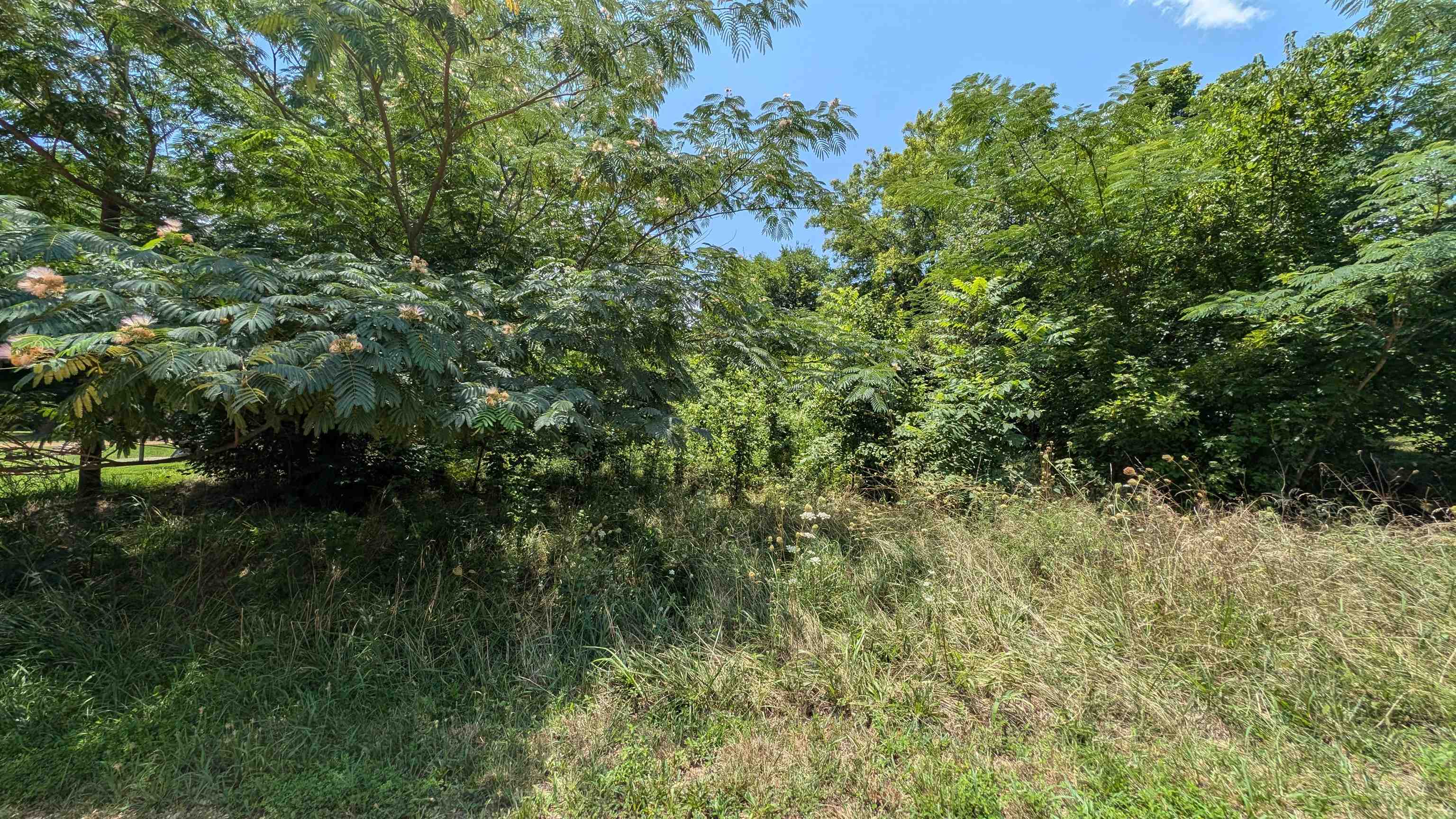 Riverbend Park - Land