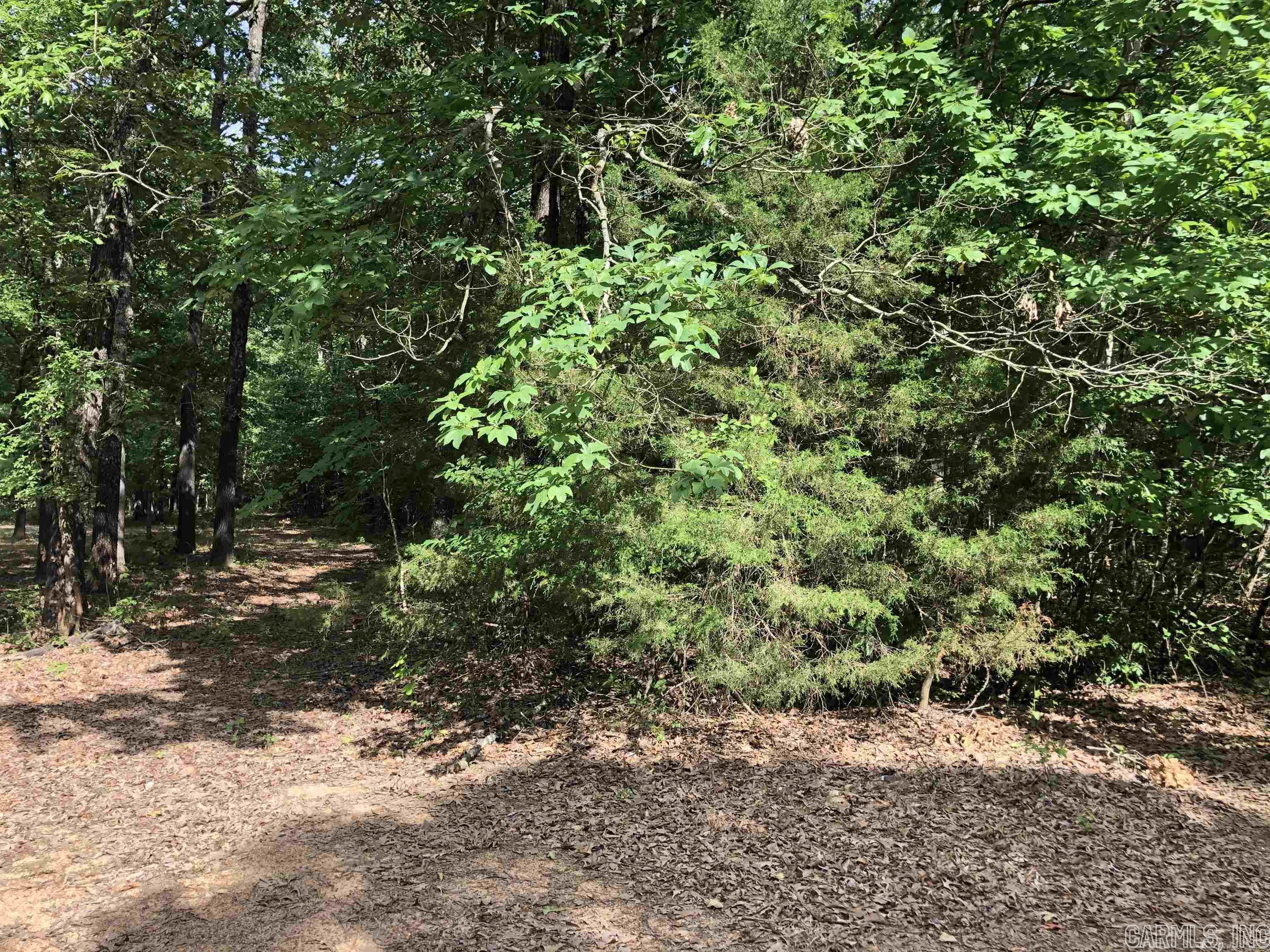 HUNTING LAND, 3 LOTS ALL CONNECTED WITH ROAD ON 2 SIDES! This property ownership gives you access to hunt all property (If you do not post your property), which contains 600 +/- acres, and fish the lake, which is 25 +/- acres! If you own this property, you can hunt as long as you do not post your property. There are some restrictions, and you can see those under Documents. There is an approximate $90.00 a year charge for upkeep. This lovely lake has a dock and a gathering area with a pavilion for large get-togethers. This property is loaded with whitetail deer and turkey. The lake is stocked with some of this area's Largest Bass!! If you have been looking for something to own with hunting and fishing but not the upkeep of it all with possibly building a small cabin, this is it! This could be one to buy and give a grandchild ownership on each lot for future hunting rights! THIS IS WOODED LOTS ONLY, THE LAKE AND PAVILION IS COMMUNITY OWNED! Located down Highway 115, about 12 miles from Cave City, Only about 45 minutes from Jonesboro, AR! This property is NOT on the lake but has access to the lake, hunting, and the common pavilion area.