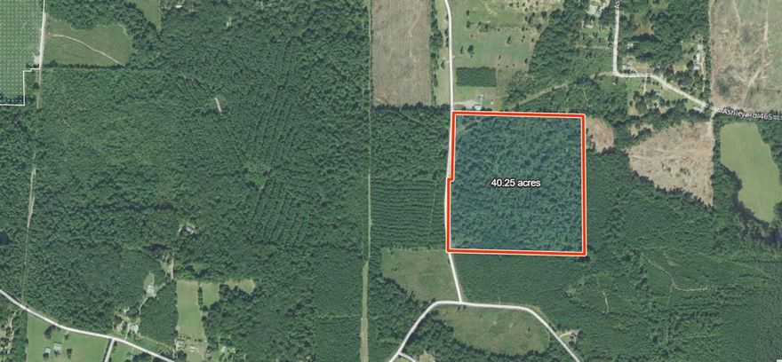 40 acres - Ashley County - Timber/hunting and recreational property. Whitetail deer should be prevalent.  Property has trails throughout the property. This is bordered on the west and south by WEYERHAEUSER.  There is electricity and water running across west side of property.    This property is priced to sell.
