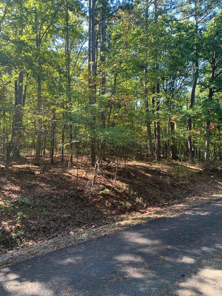 5.456 Acres of land in the heart of Hot Springs Village. Homes in the surrounding area. Come and build and enjoy the stunning views of HSV.
