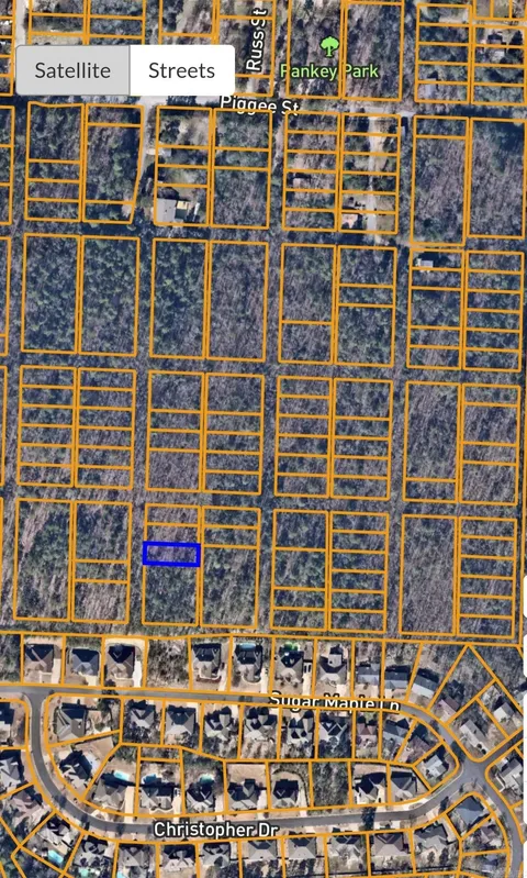 MLS: 25003734
