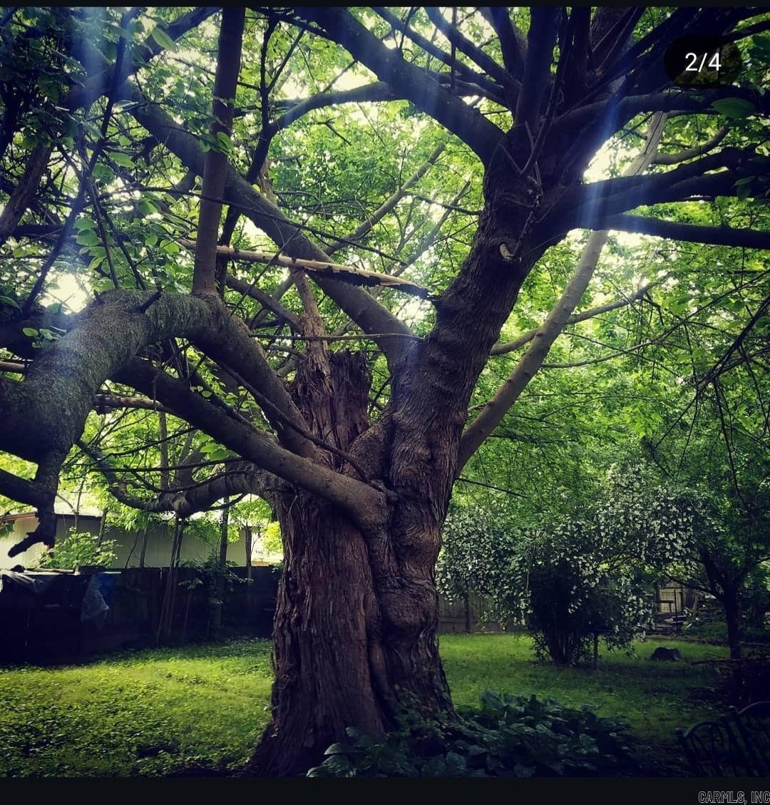 Halls Second - Residential