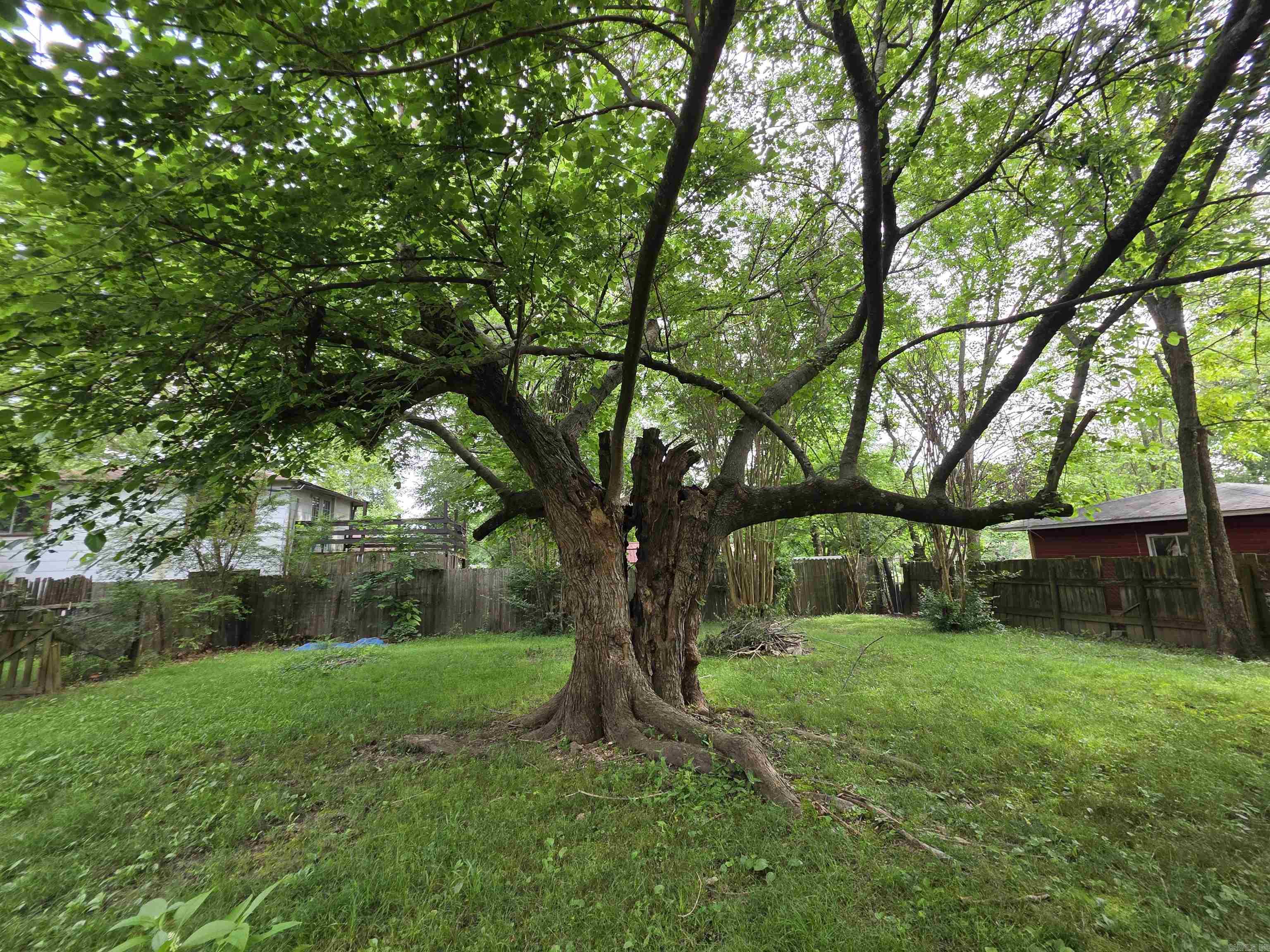 Halls Second - Residential