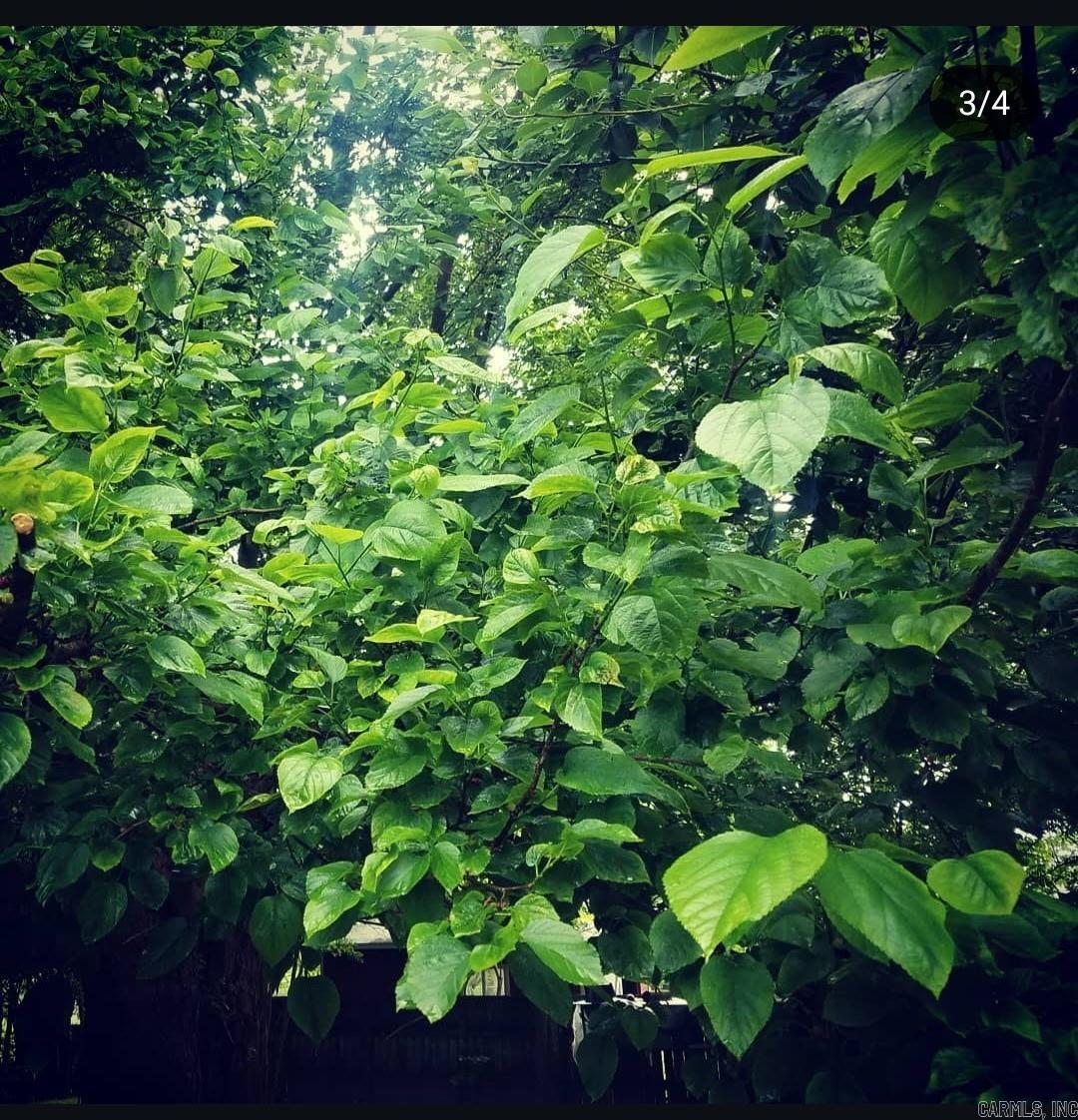 Halls Second - Residential