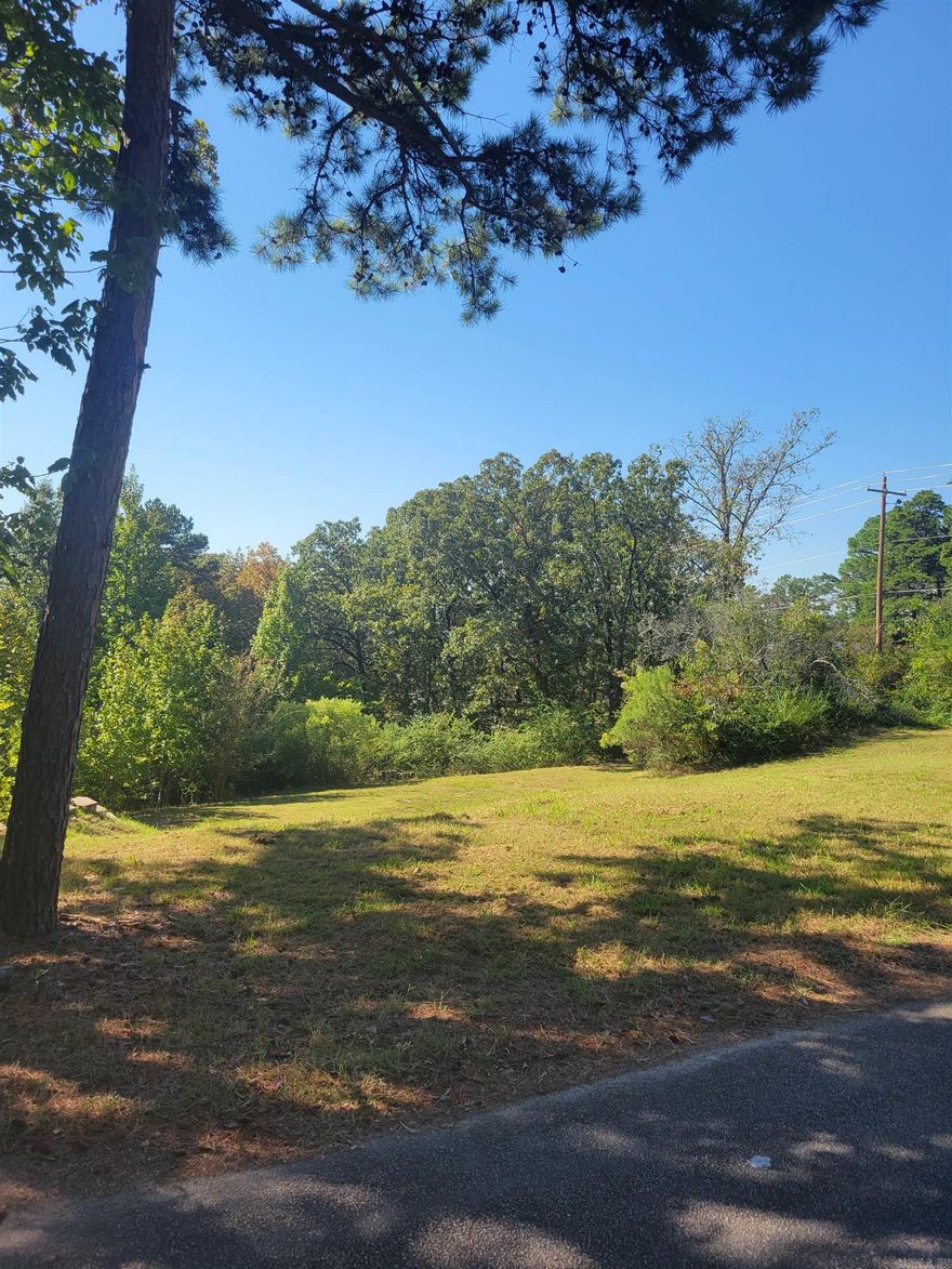 Once In A Blue Moon an Opportunity comes along to purchase a Residential Lot that offers the greatest LOCATION to build your forever dream home. Located in the North Little Rock Maumelle area by the CAC High School. Westwind and Windsong Area. Large 0.54 Acre Corner Lot Ready To Build. All Utilities On Site Already. Central Arkansas Water, City Sewer, Entergy and Summit Gas. Minutes to Interstates I-40 and I-430, Twin Rivers Park, Arkansas River, Little Rock, Shopping, Schools, Restaurants and Hospital's.