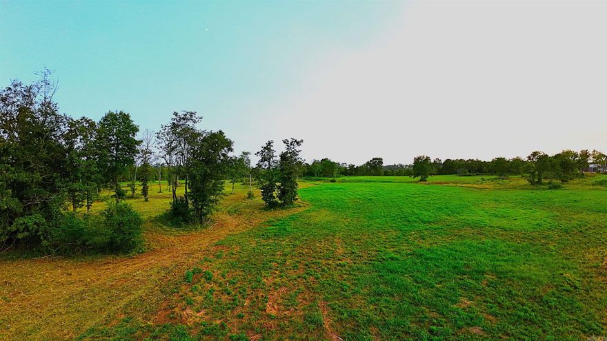 Looking for about 5 acres reasonably priced? Here's a freshly mowed, flat, recently surveyed, & Perc Test approved 4.8 acres just outside of Dover! Enjoy the beautiful sunsets and laidback feelings this property offers. In the country, but still a quick 4 min drive to Dover, 15 min to Russellville, & only 20 minutes to hitting the lake or riding the trails near Mack's Pines and the Ozark National Forest! You can build creatively with very little restrictions on this one.