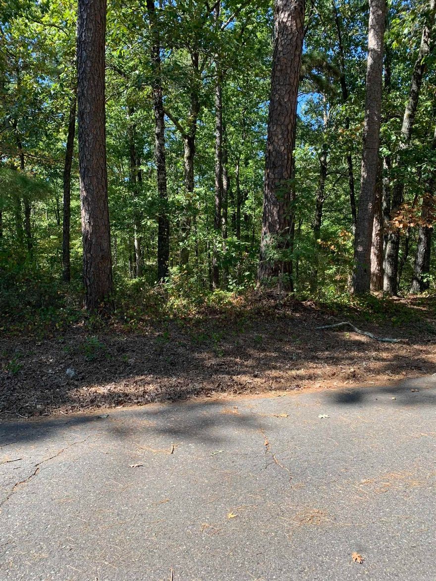 Beautiful building lot in Hot Springs Village. Make this one yours and begin enjoying all the Village amenities. New buyers to the Village have a $300.00 buy in fee payable to the POA at closing.