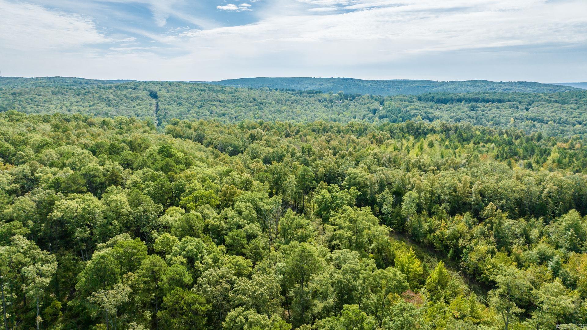 $3700 per acre!! This 11.92 acre tract has a path cleared throughout the property and a large wooden structure with endless possibilities. Water and electric at the road. There are NO RESTRICTIONS, so make this the property you've dreamed of! Agent owned property. Taxes need to be verified.
