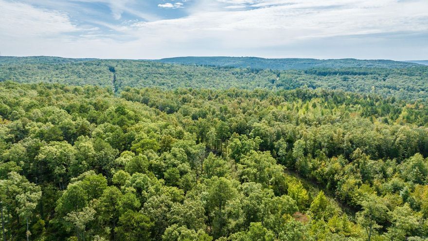 $3700 per acre!! This 11.92 acre tract has a path cleared throughout the property and a large wooden structure with endless possibilities. Water and electric at the road. There are NO RESTRICTIONS, so make this the property you've dreamed of!  Agent owned property.  Taxes need to be verified.