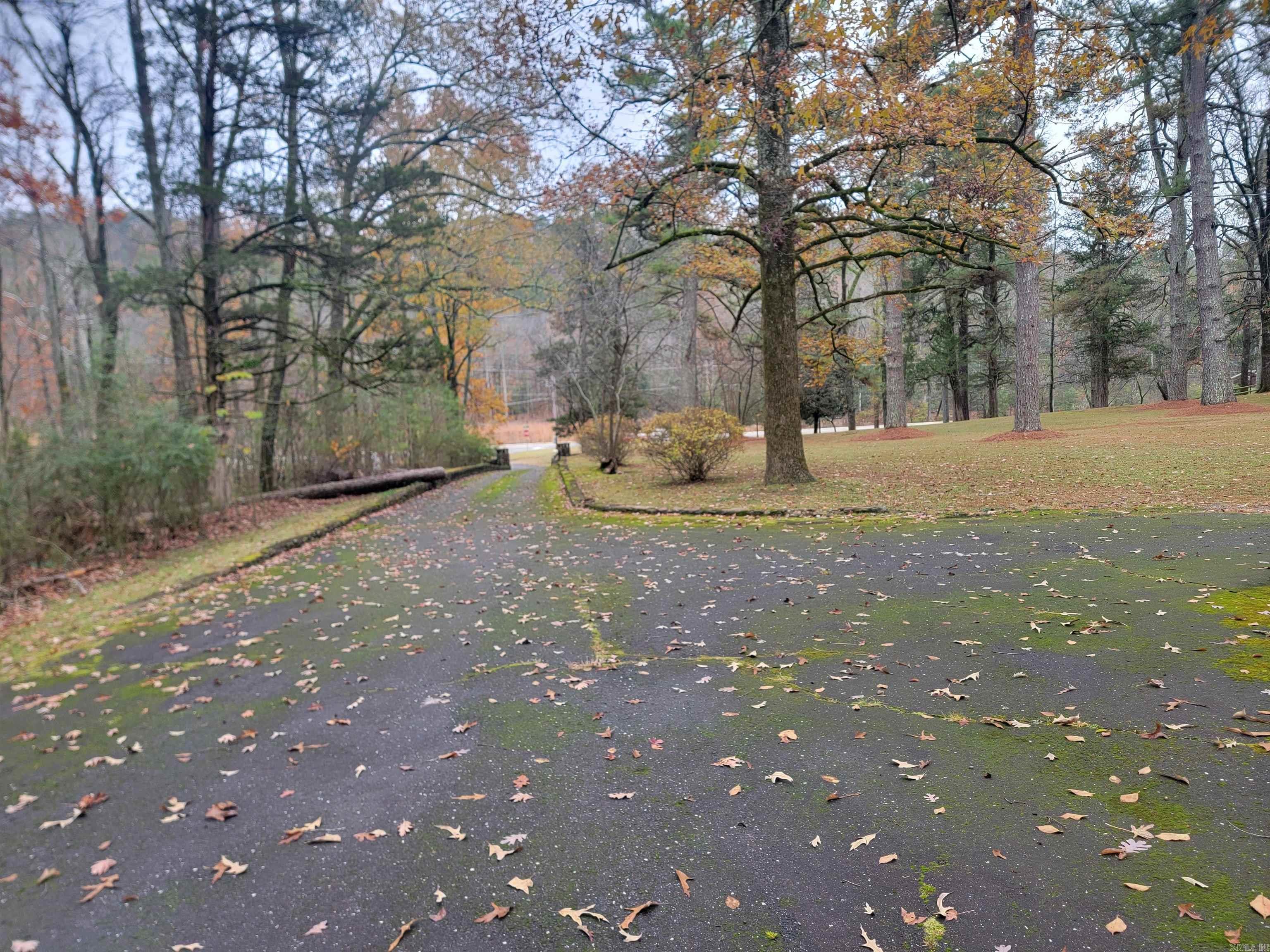 Hot Springs Unplatted - Residential