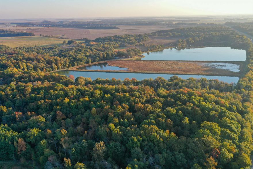 Located in the heart of the duck mecca of the universe, this property is perfect for the outdoor person interested in waterfowl or fishing.  Bayou DeView, Cache River, and White River are moments away from this property that features +/-53 acres of water surface.  Approximately 46 acres of that water surface are divided between four (4) water control structures allowing for the ultimate control of habitat.  The water control structures are fed by three (3) electric wells.  Also included is a +/-27 acre wooded slough that receives water from the water control structures via a draining riser.  Additionally, this property has a comfortable three (3) bedroom home with two baths and excellent amenities, a great storage shed, and excellent internal road network.