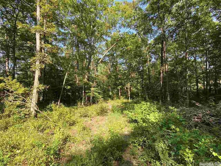 Property provides mature timber and ample game for you hunting needs. Located approximately 30 minutes from the intersection of highway 10 and highway 300. Call for more information.