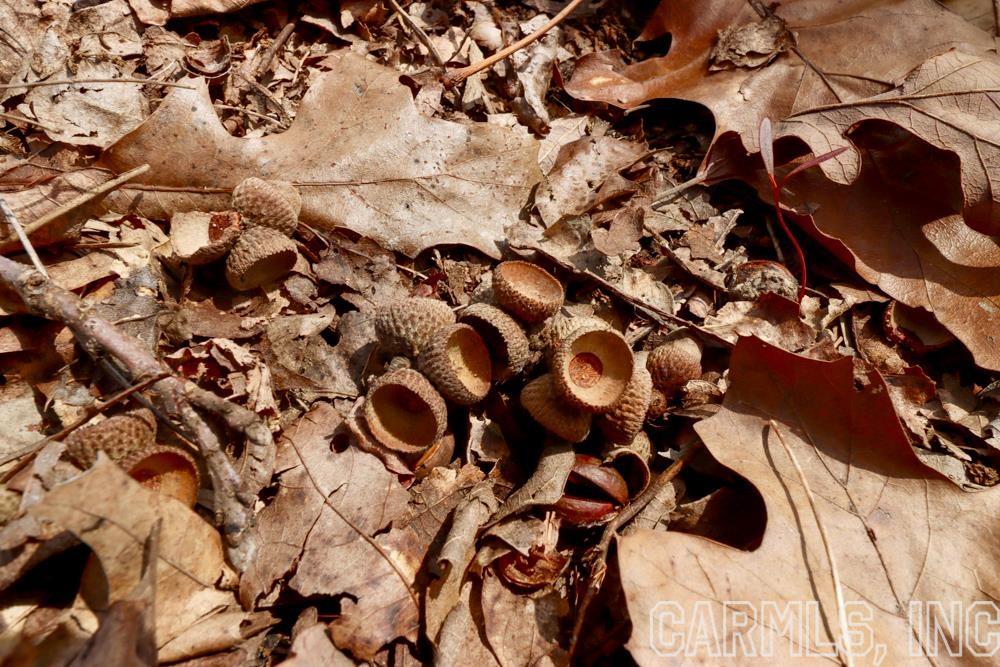 Metes & Bounds - Farm