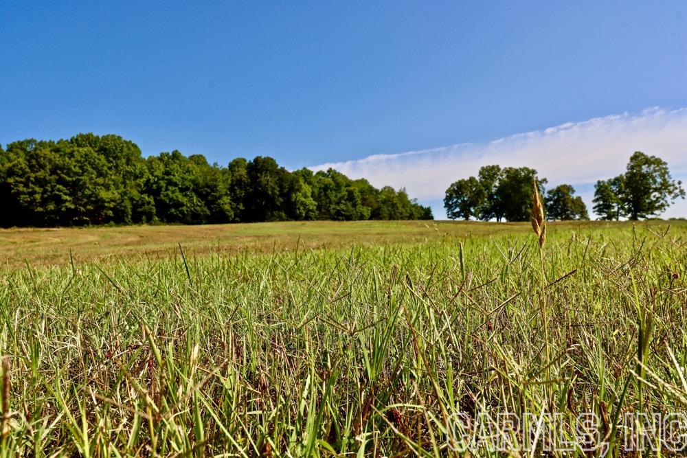 Metes & Bounds - Farm