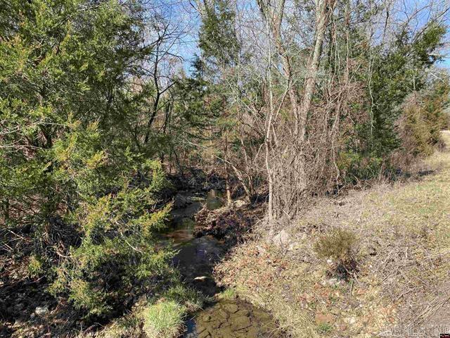NICE WOODED 68.74 ACRES M/L in the country with several good building site. Moccasin Creek runs through the property. Could be a great building site for a home in the country. Grab it now while you can. Just minutes to the spring.