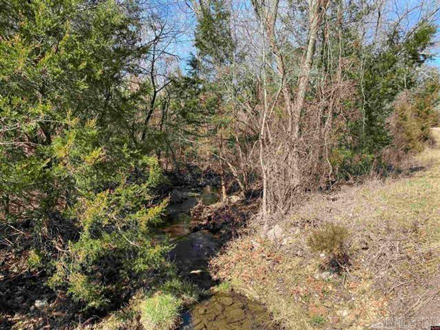 NICE WOODED 68.74 ACRES M/L in the country with several good building site. Moccasin Creek runs through the property. Could be a great building site for a home in the country. Grab it now while you can. Just minutes to the spring.
