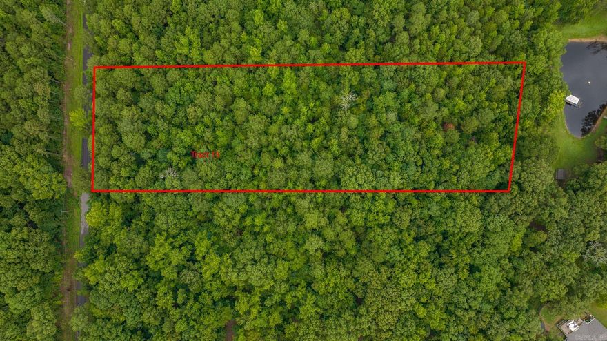 New Subdivision in Greenbrier. All of the lots are wooded. This would be the perfect location to build your home nestled in the woods and have complete privacy from your neighbors. Barndominiums will be allowed here. 1500 sq. ft. minimum. Mobile homes not allowed. Red lines on photos are an approximation of boundary lines. This listing includes Tract 15 and 16.