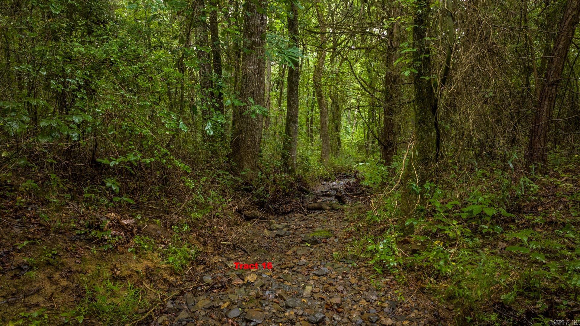 WILDERNESS ESTATES - Land