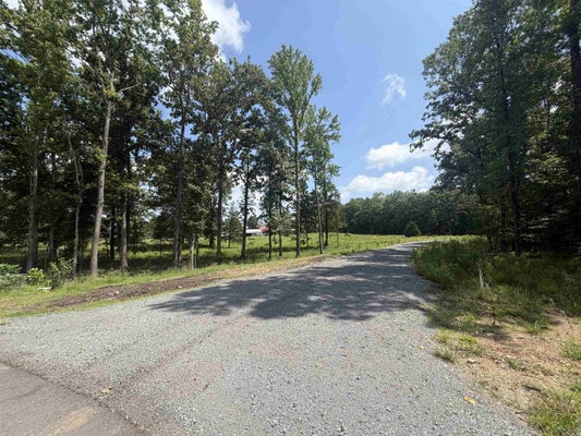200 AVILLA E, ALEXANDER, AR 72002 - Image 93ee78d306ef1e3fc3cf56ad2ce1e227/1481110362