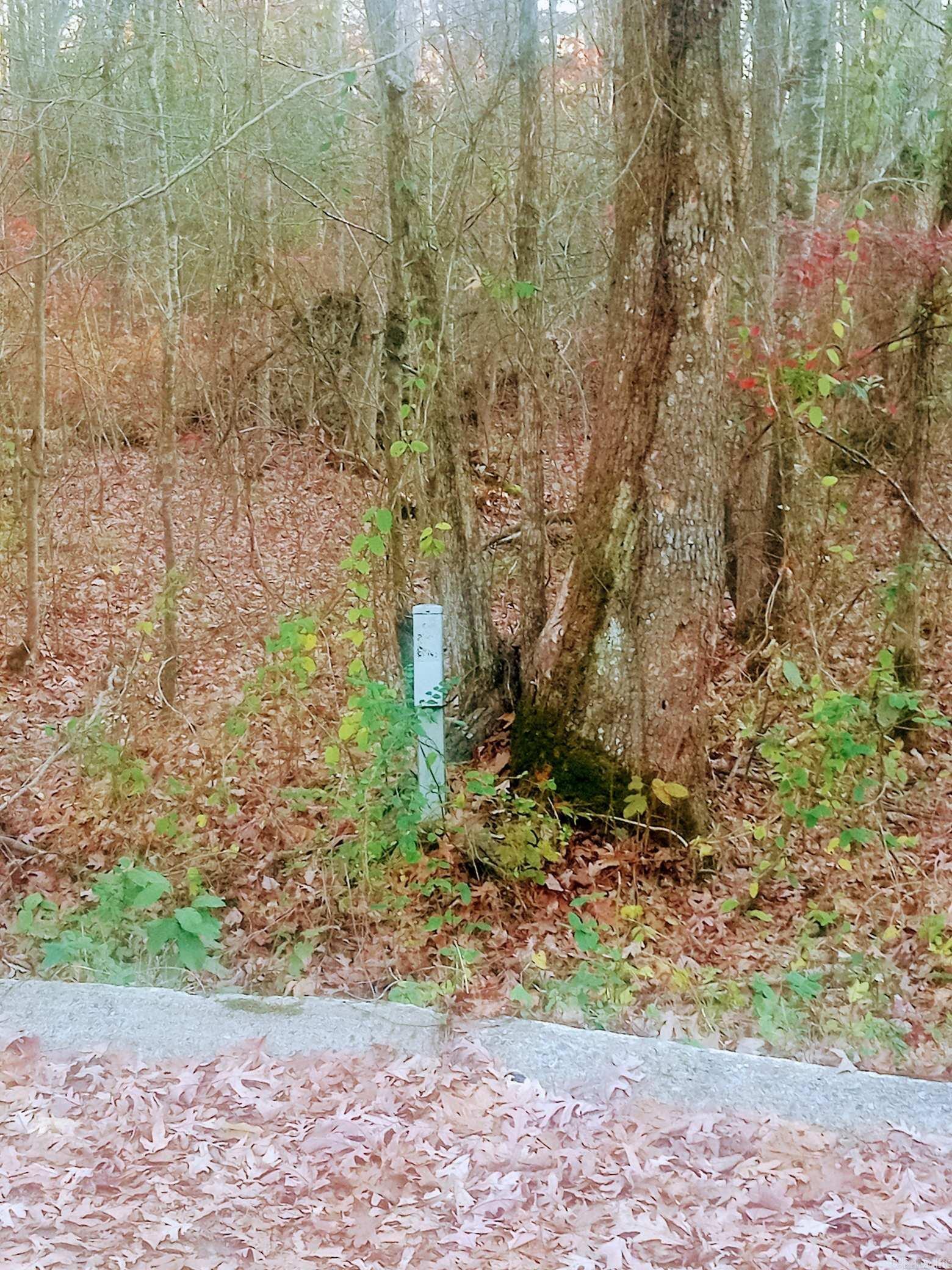 Hilaro Springs Estates - Land