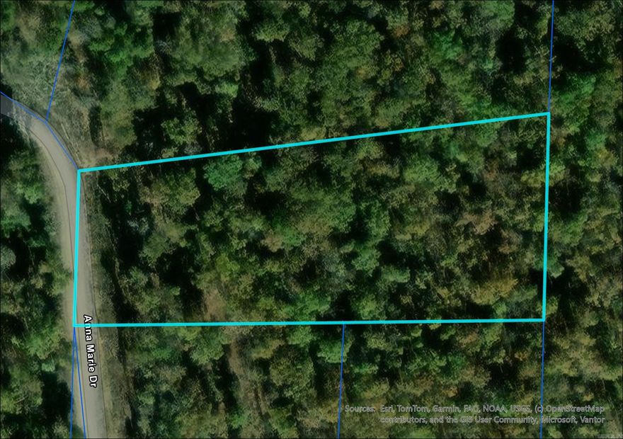 Quiet, peaceful, wooded setting with utilities available at the road, Anna Marie Drive is ready for you!  Make this gorgeous piece of Arkansas yours today! Note: Property is listed multiple ways, address is not the official address, just the lot number. *Lot lines are estimates and not survey accurate