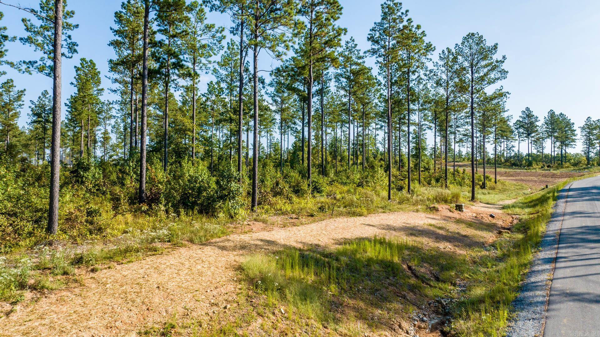 CANYON CREEK VILLAGE - Land