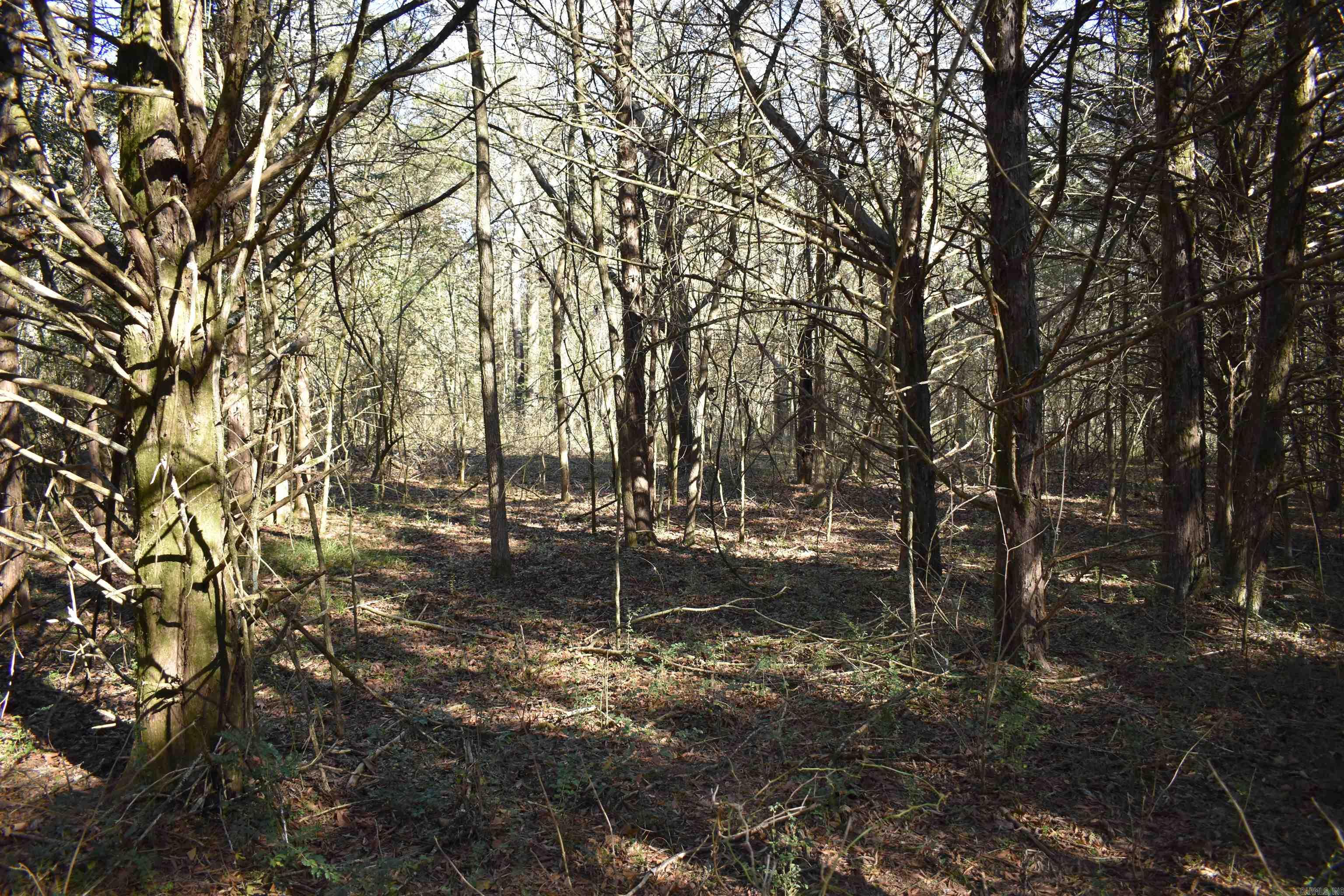 Metes & Bounds - Land