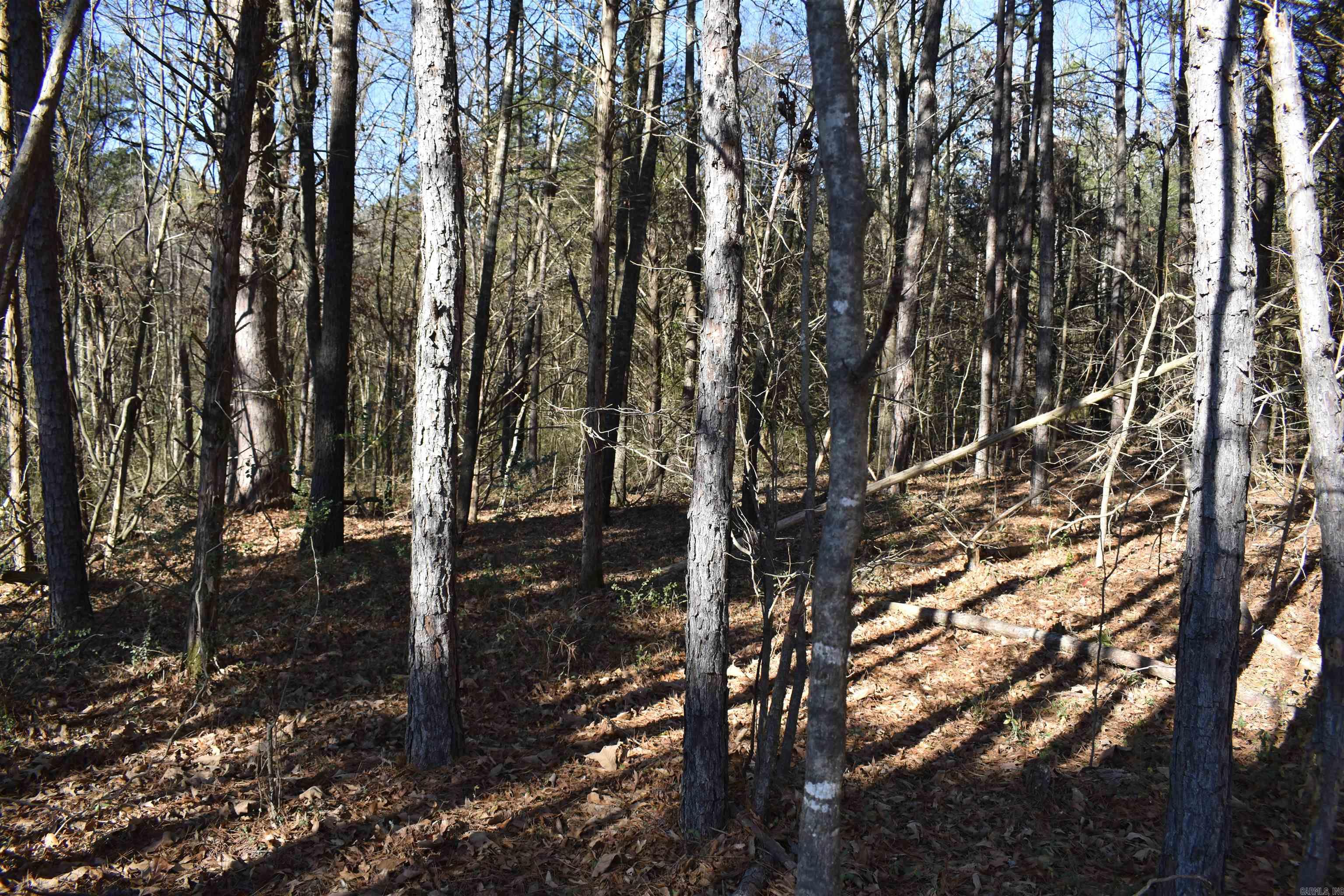 Metes & Bounds - Land