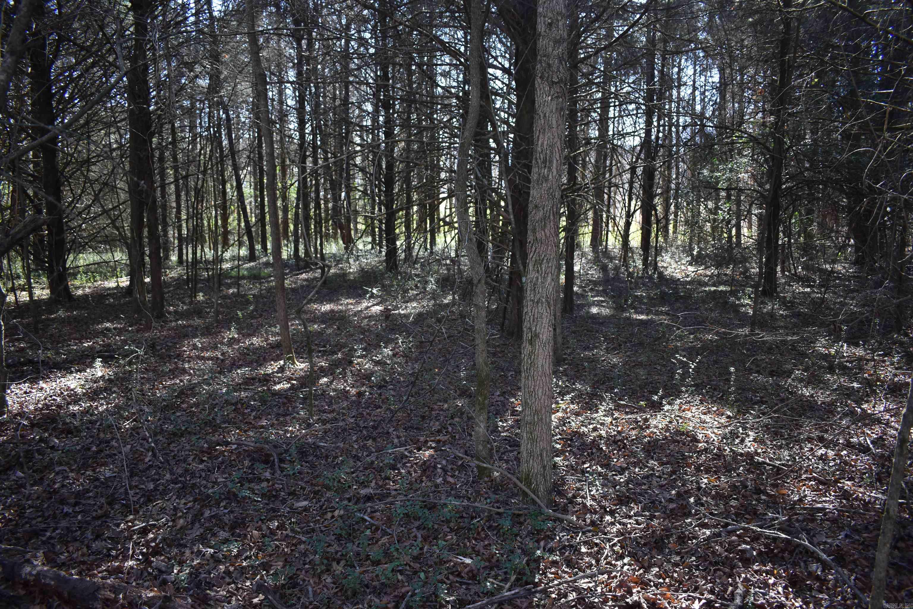 Metes & Bounds - Land