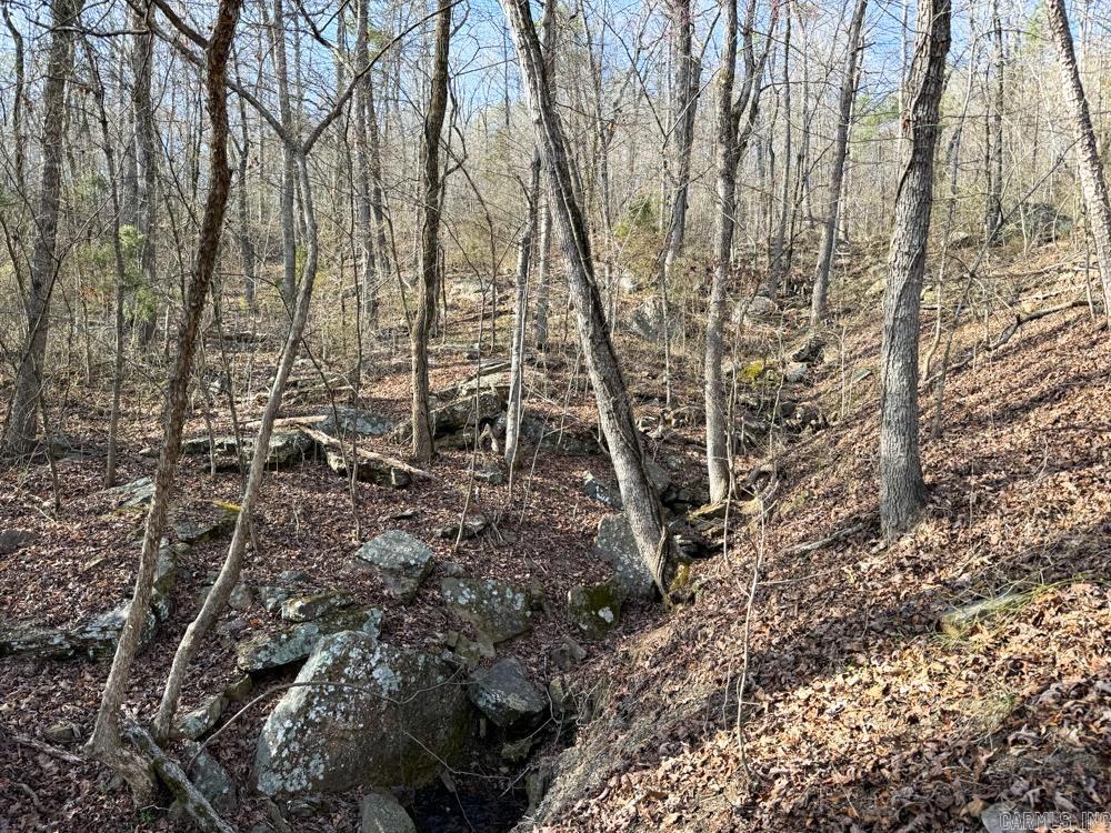 Metes & Bounds - Land