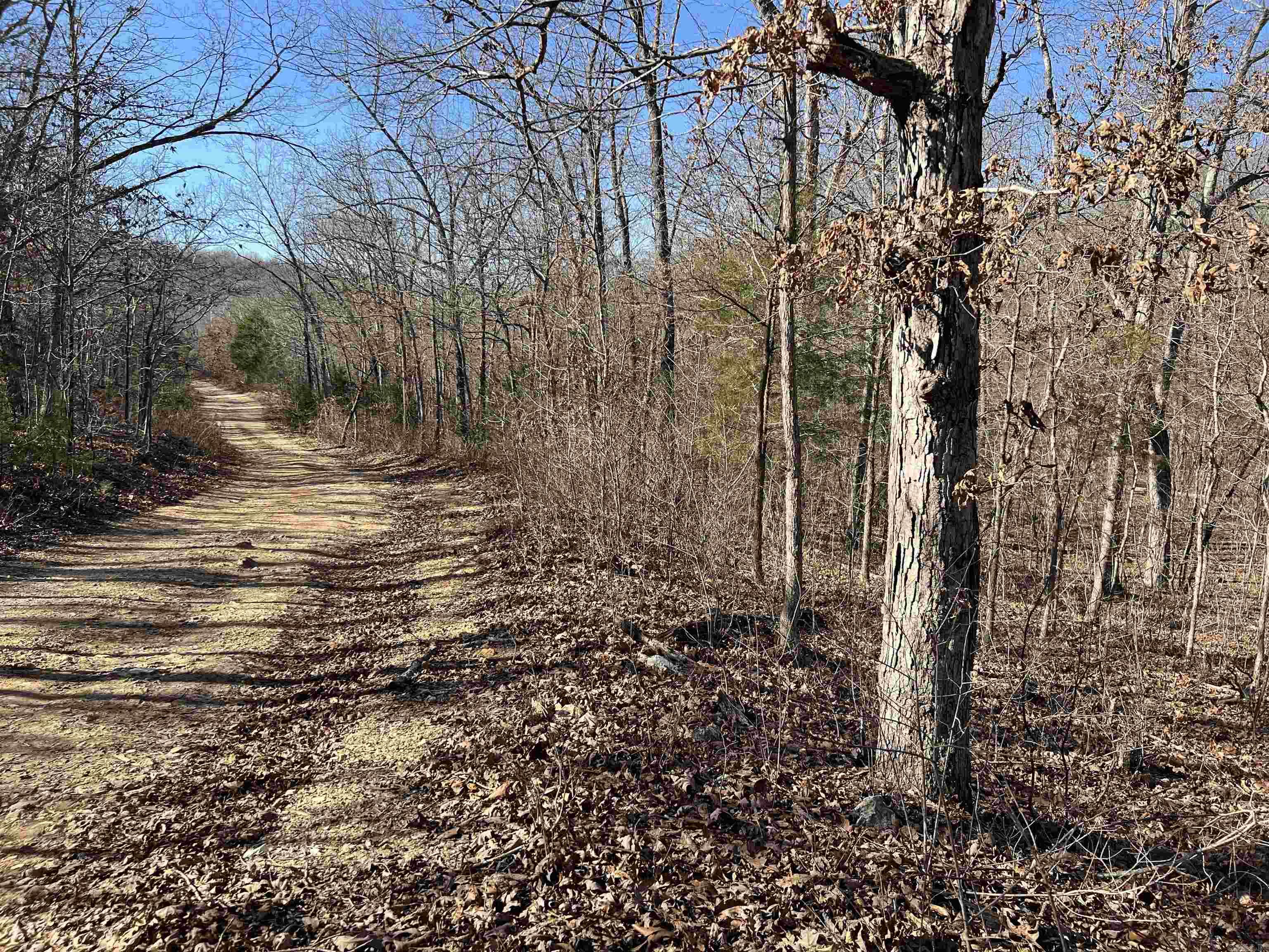 MAMMOTH SPRING ACRES - Land