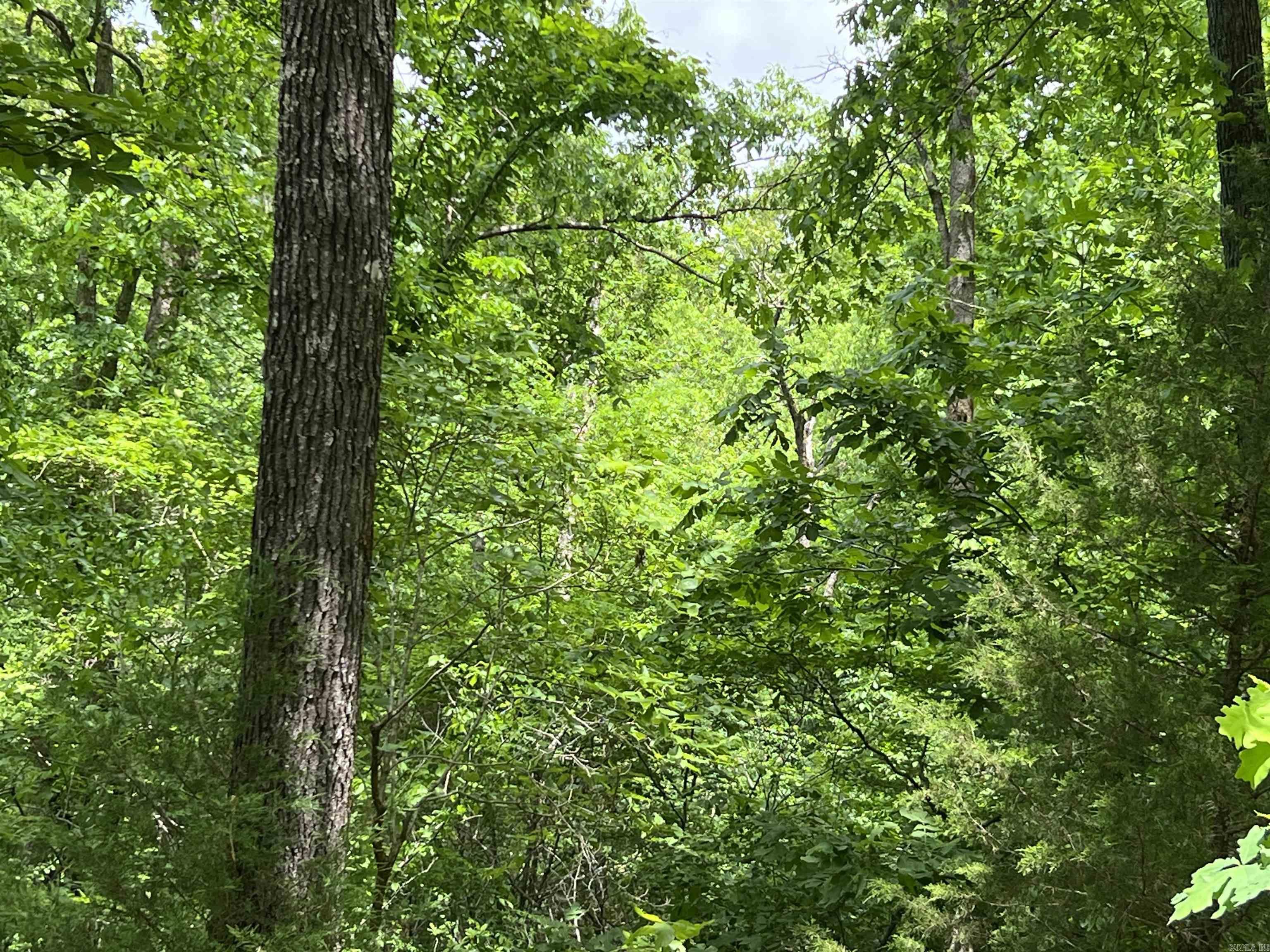 MAMMOTH SPRING ACRES - Land