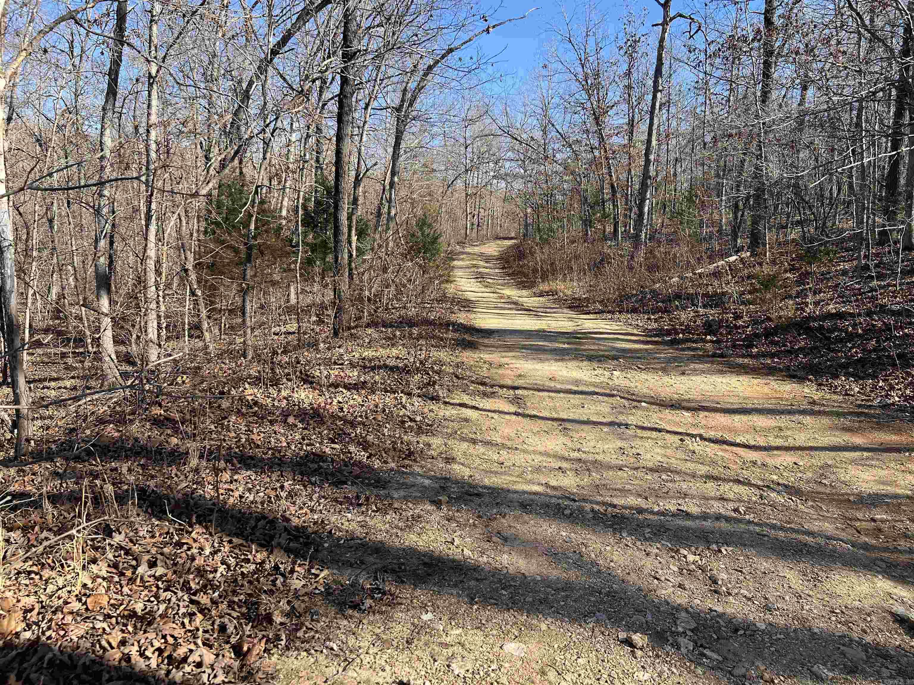 MAMMOTH SPRING ACRES - Land