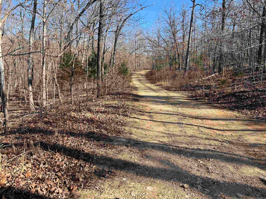 Secluded Ozark Acreage for Hunting, Camping & Off-Grid Living Just off the beaten path, this private acreage offers an ideal setting for camping, hunting, hiking, or an off-grid retreat. The property is covered in a variety of oak trees, with a mix of mature saw-log-size timber and younger growth, creating both beauty and long-term value.  A long southern slope provides an excellent potential cabin or camp site, perfect for solar setup and soaking in the peaceful Ozark surroundings. With no nearby residences and currently no one living on adjoining tracts, privacy is a true highlight. Wildlife is abundant, with regular game movement expected across the property.  Access is via a platted road that is not publicly maintained, preserving the secluded nature of the land. Offered by a non-resident owner at an attractive price of $19,500, this is a rare opportunity to own affordable acreage for recreation or a quiet escape into nature.