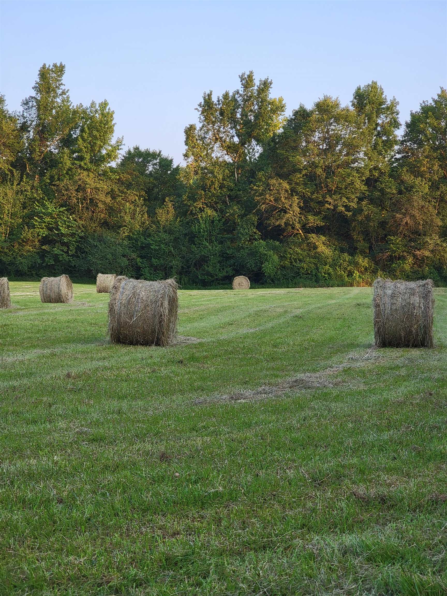 Caney Hill Estates - Residential