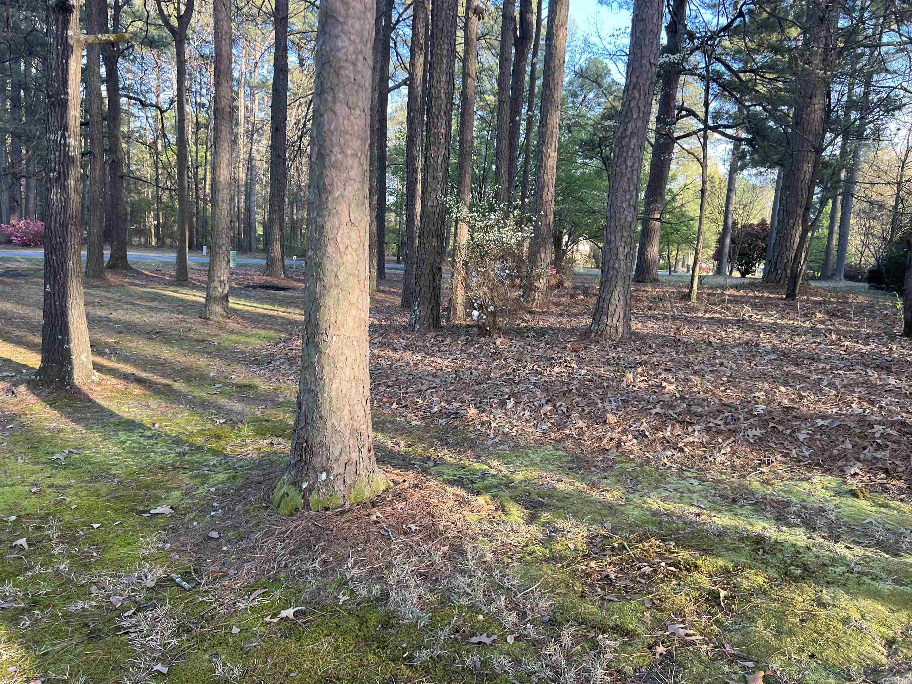 OAK LAWN ESTATES - Residential