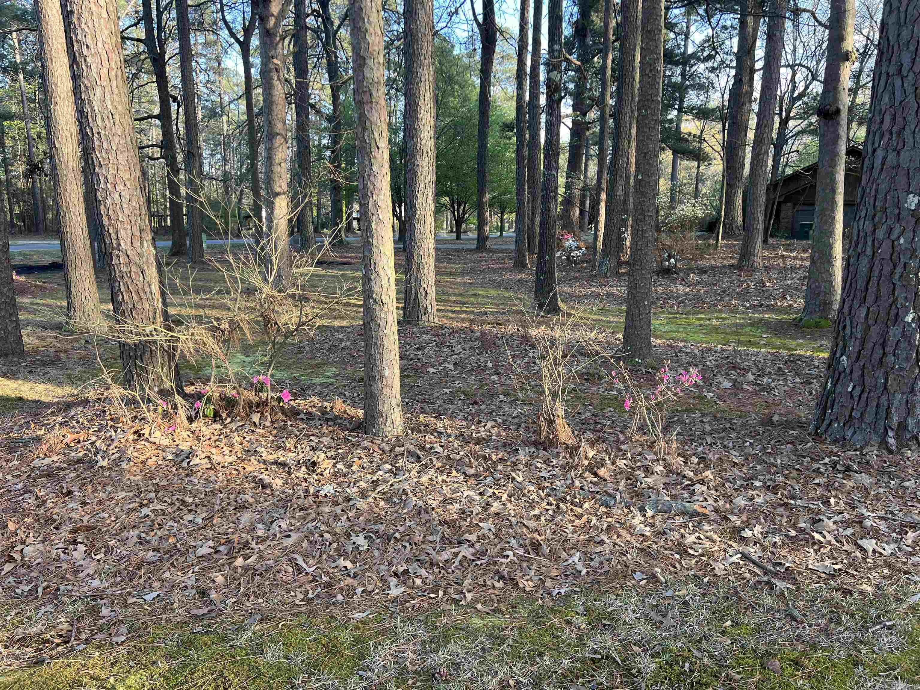 OAK LAWN ESTATES - Residential