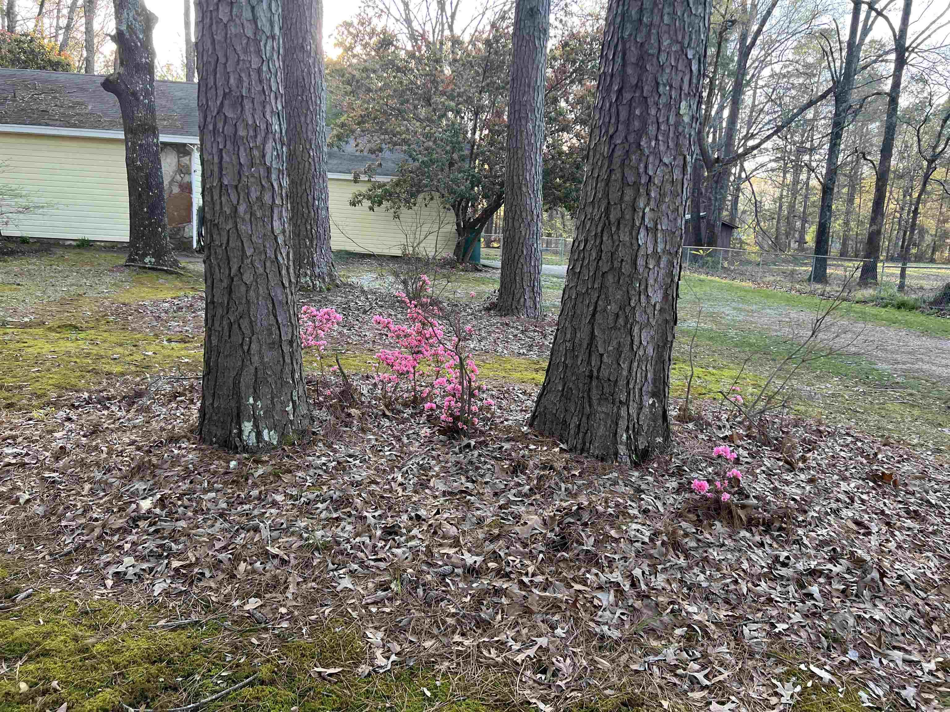 OAK LAWN ESTATES - Residential