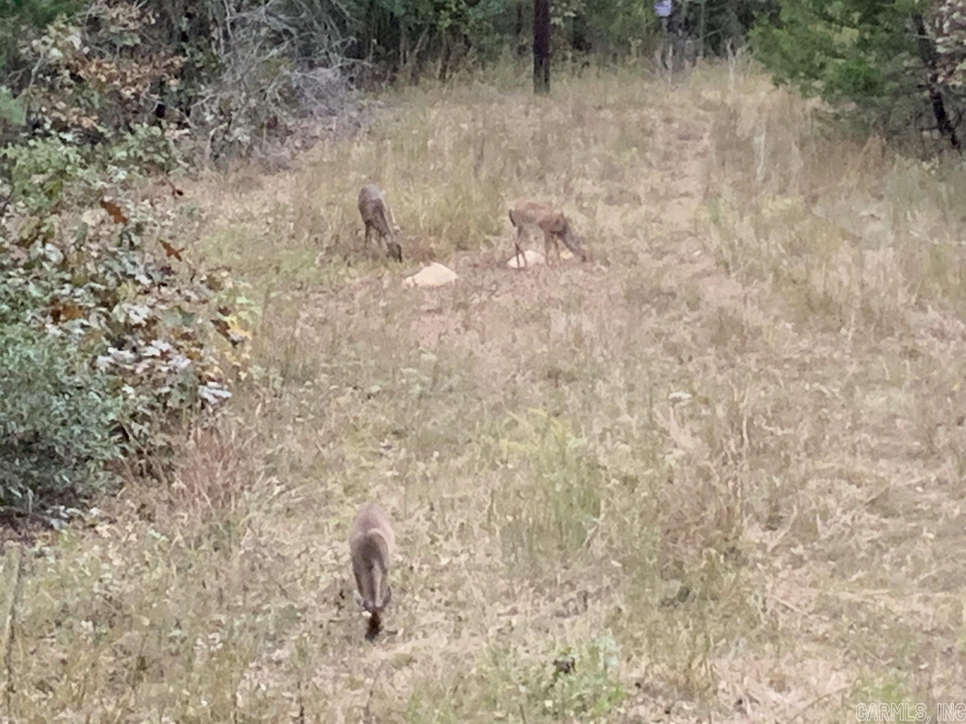 Cadron Creek Estates - Residential