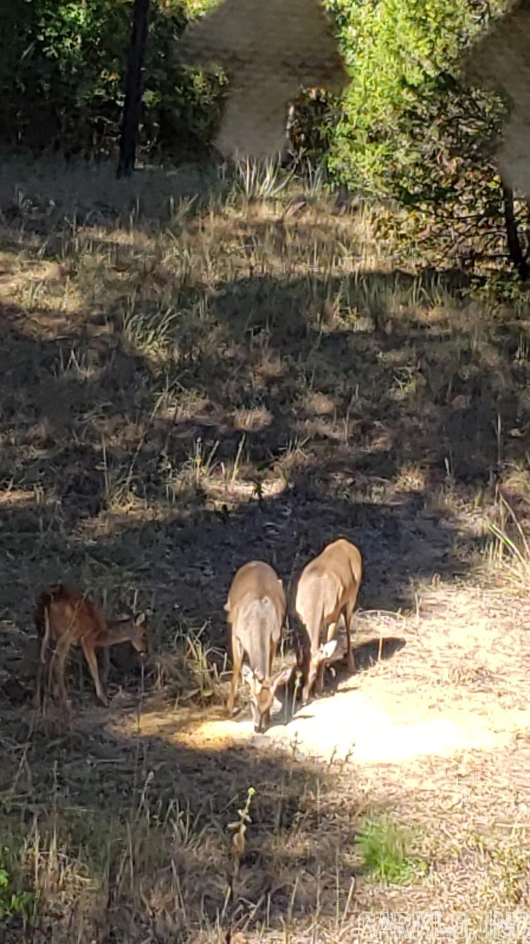 Cadron Creek Estates - Residential