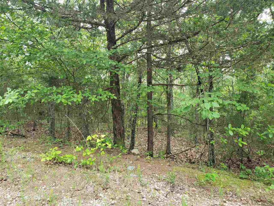 Great hillside property over looking a small valley with a wet weather creek. Wonderfully wooded lot. So secluded but minutes away from the North golf course or the town center. Wonderful secluded location with few neighbors. Come pick out your building spot on this wonderful lot in beautiful Cherokee Village. Test your skills on our two 18-hole golf courses. Go boating fishing or skiing on the 7 lakes and dont forget about tubing down the Southfork river until it meets the Spring river down in Hardy town.