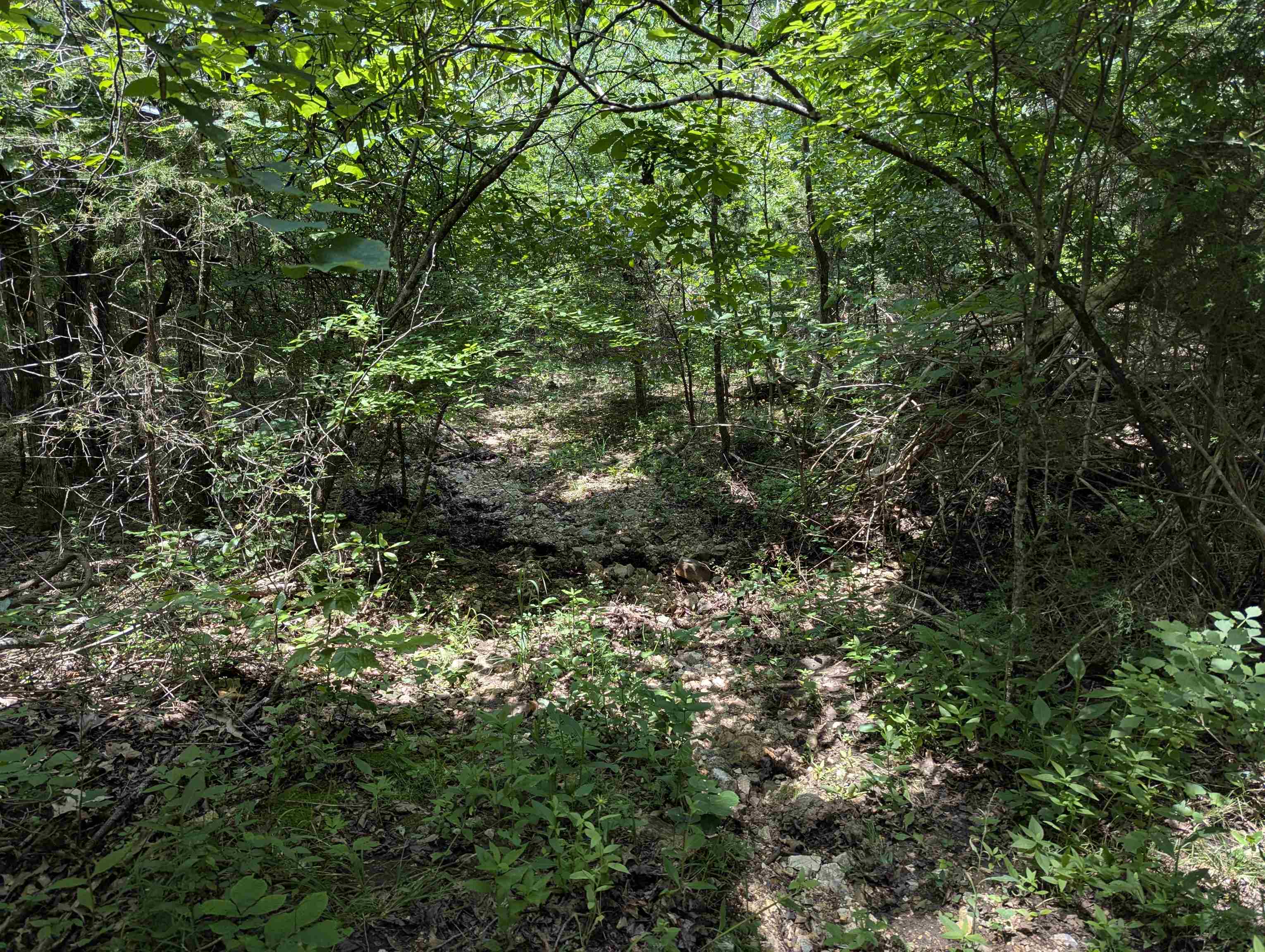 Metes & Bounds - Land